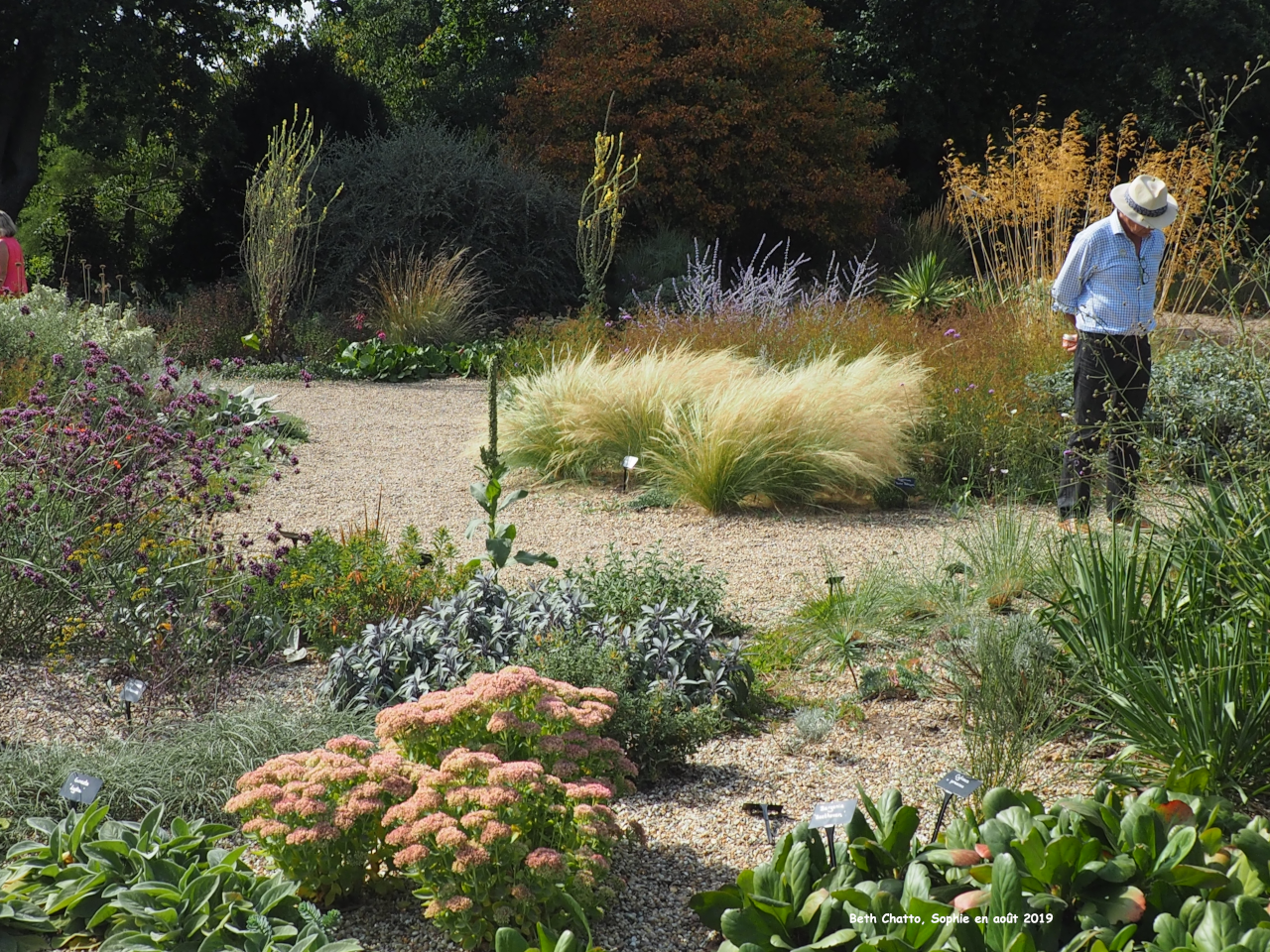 Beth Chatto: gravel garden