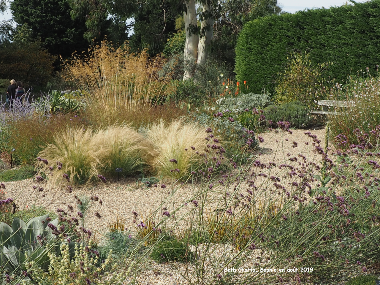 Le jardin sec de B. Chatto