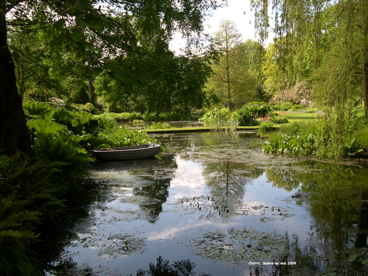 Beth Chatto: montée vers le jardin sec