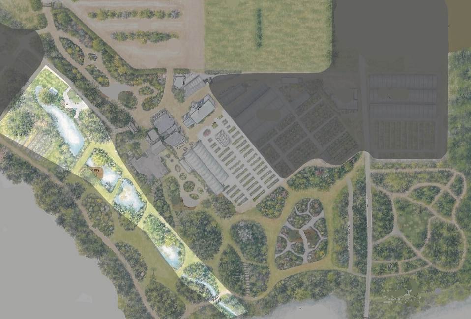 Beth Chatto: plan des jardins d'eau