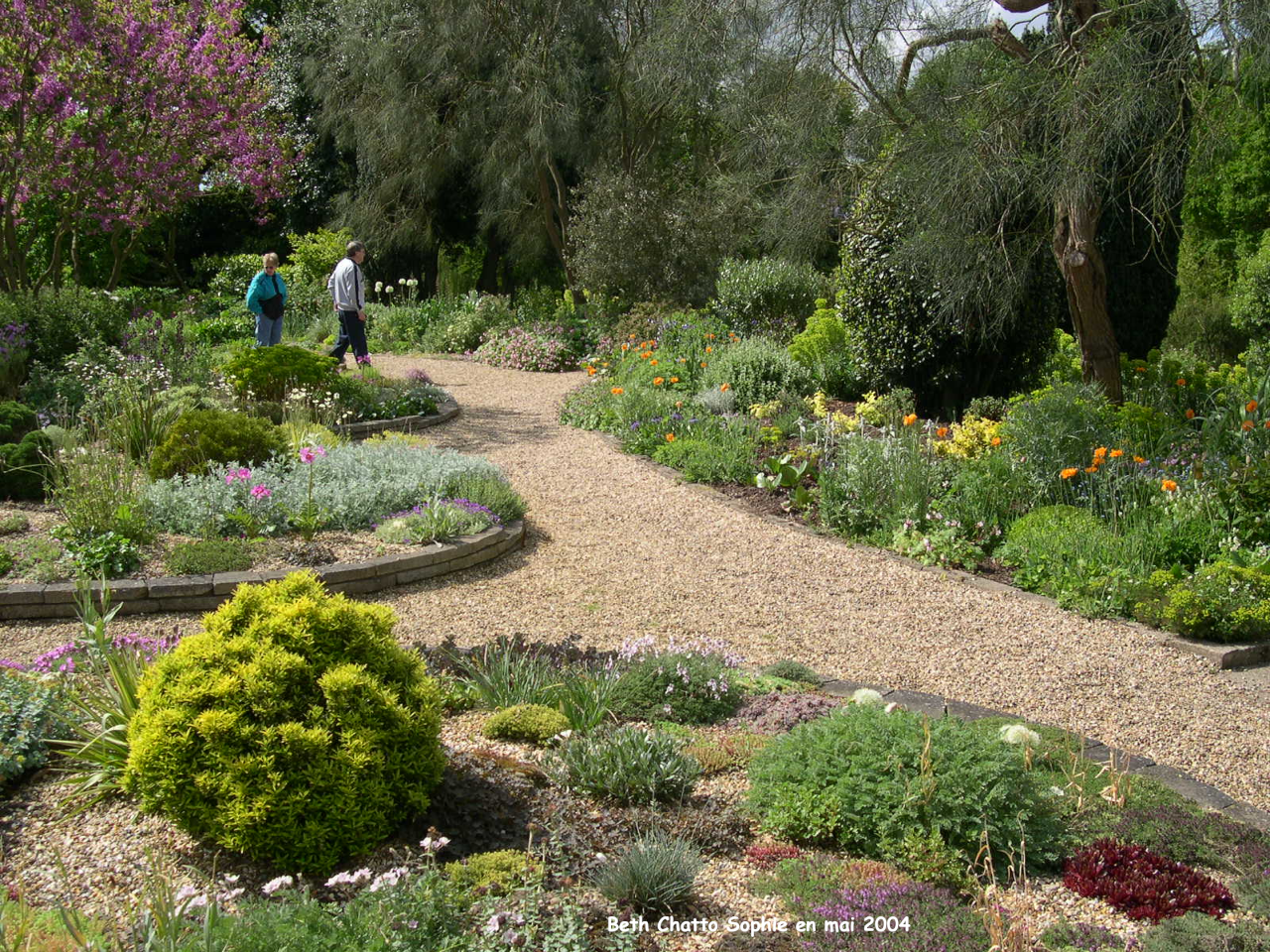 Beth Chatto: jardin d'éboulis