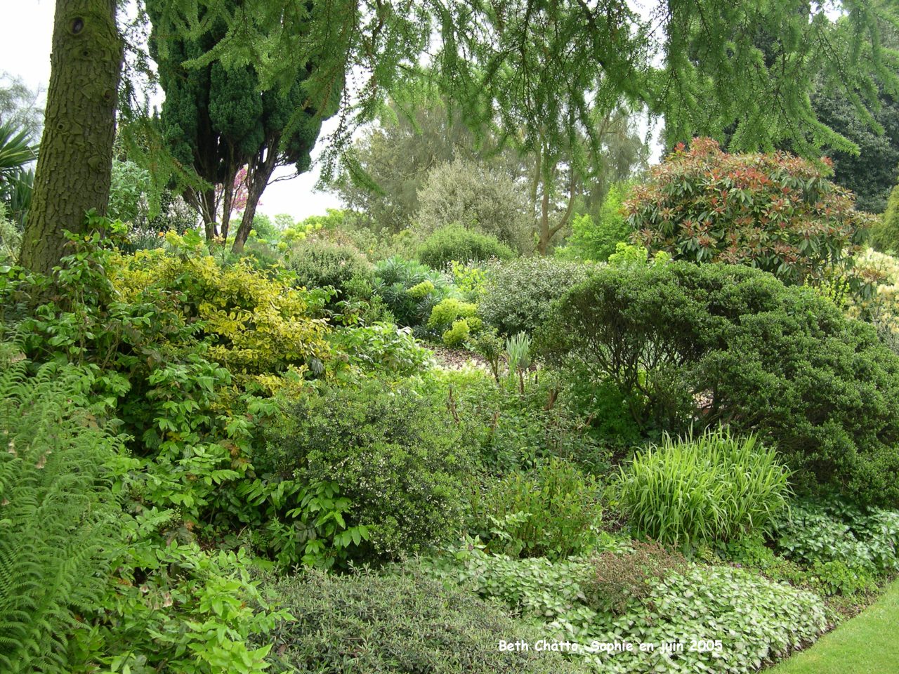 Beth Chatto: entrée du jardin d'éboulis