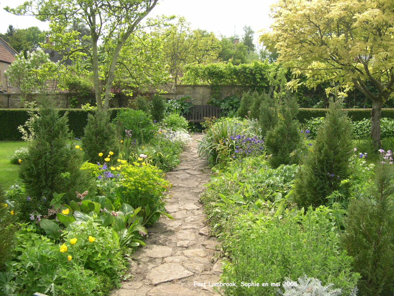 East Lambrook: jardin des terrasses