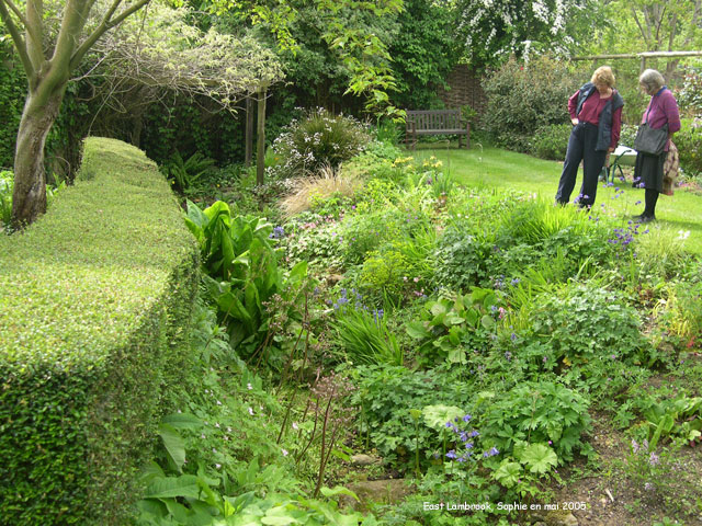 East Lambrook: jardin des terrasses