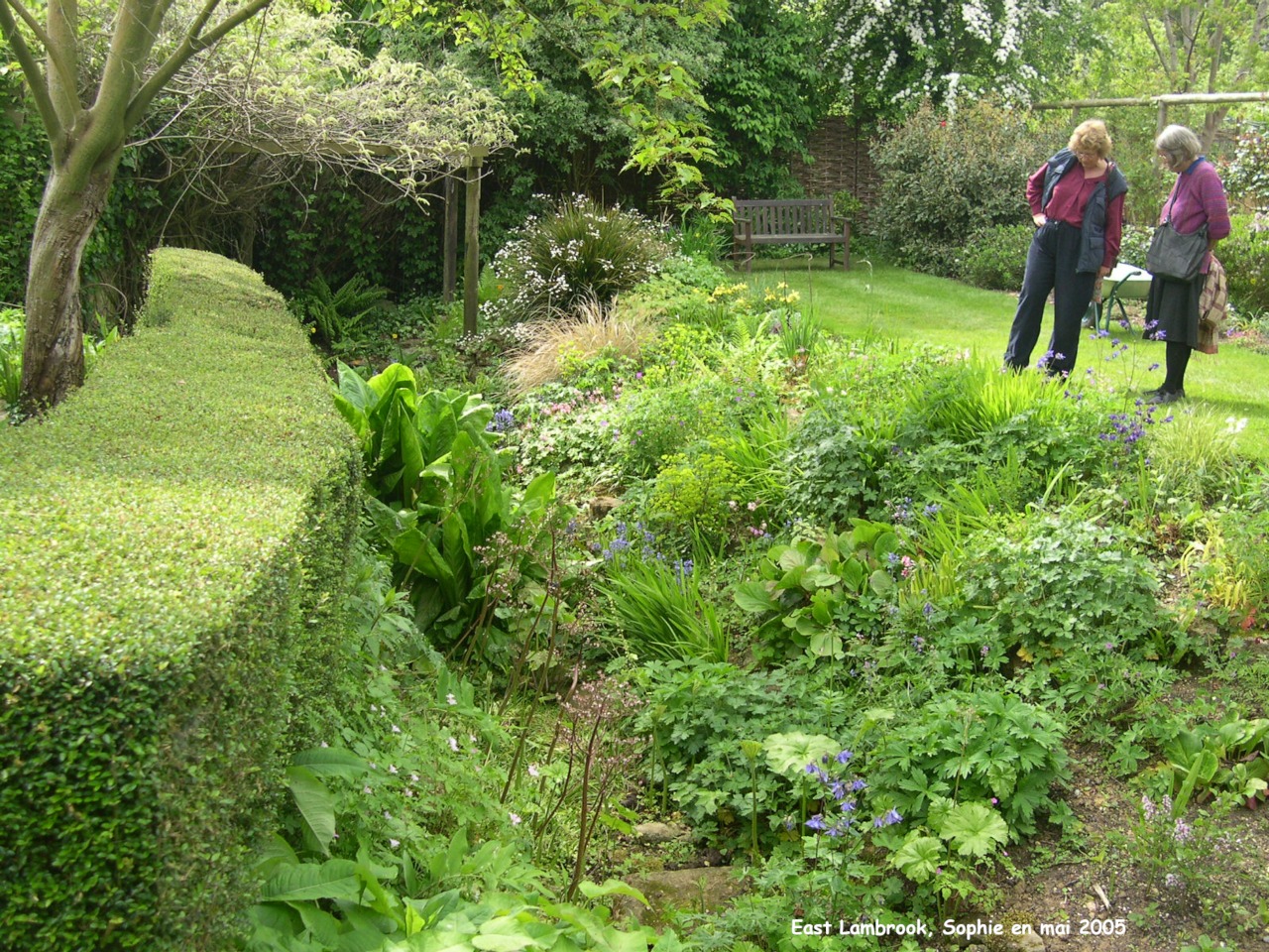 East Lambrook: jardin des terrasses