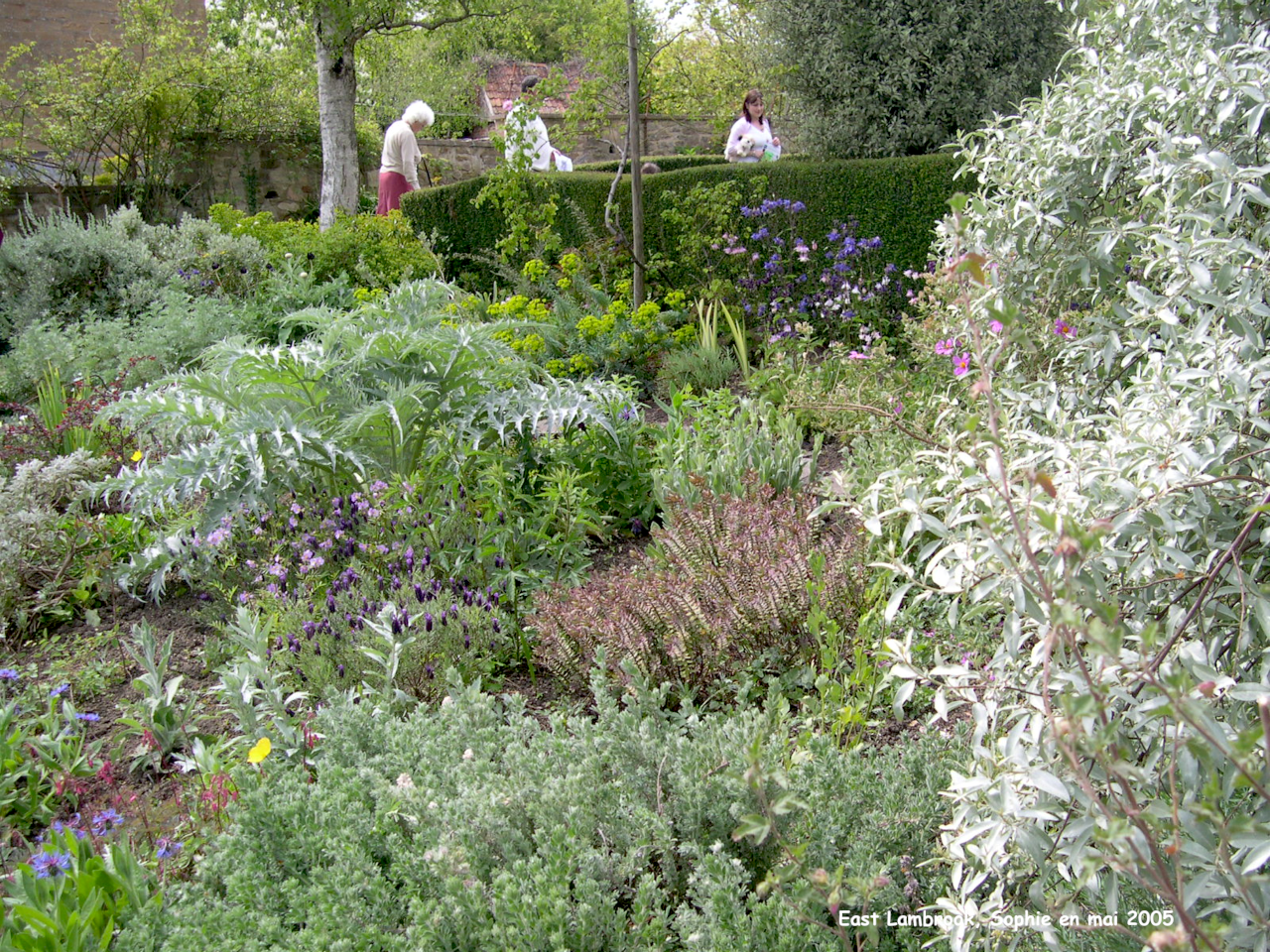 East Lambrook: le jardin gris