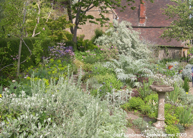 East Lambrook: le jardin gris