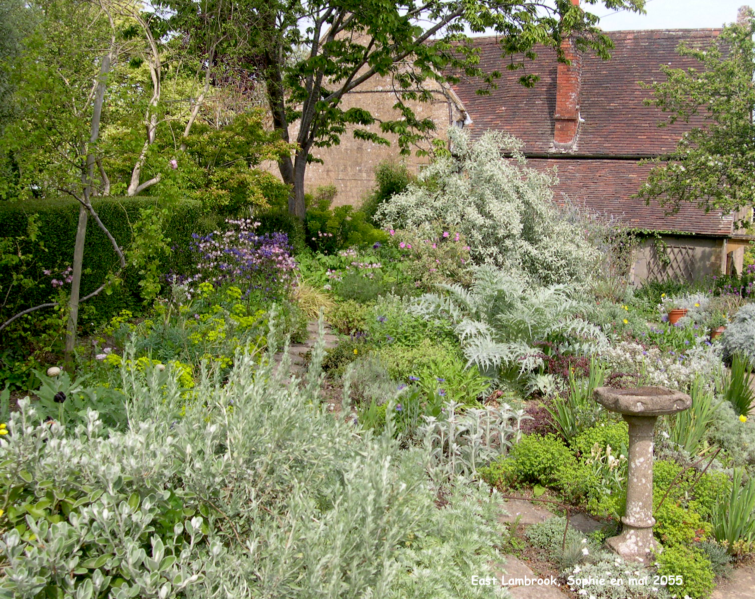 East Lambrook: le jardin gris