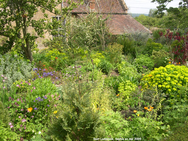 la maison et le jardin blanc à Boomgaard