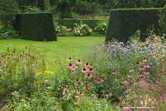 Hubertushof: Hydrangea