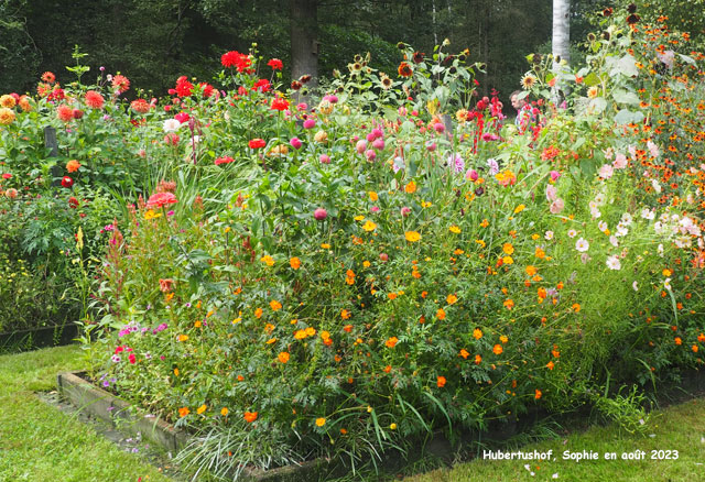 Hubertushof: derrière la serre