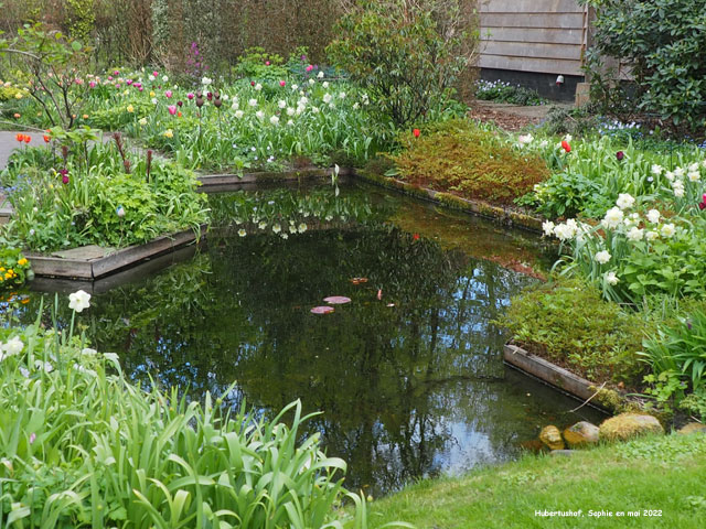 Hubertushof: petit bassin