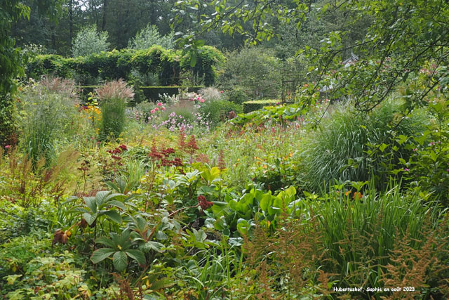 Hubertushof: le ruisseau en été