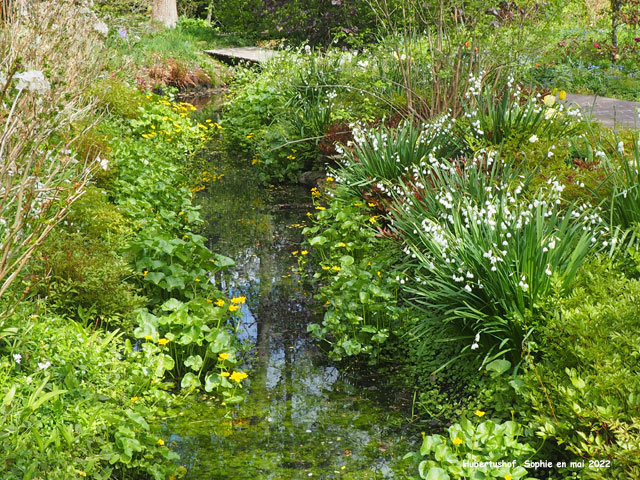 Hubertushof: le ruisseau