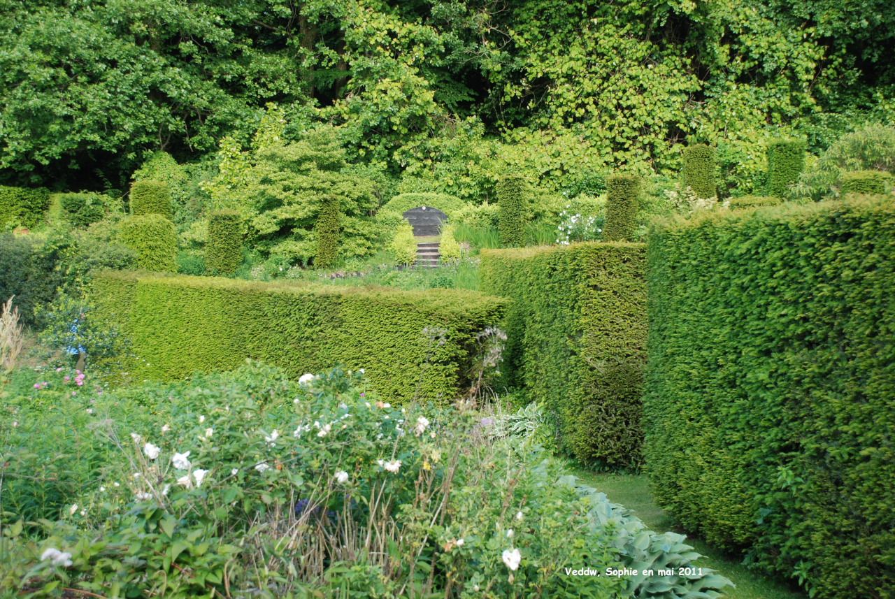 Veddw: le jardin sauvage