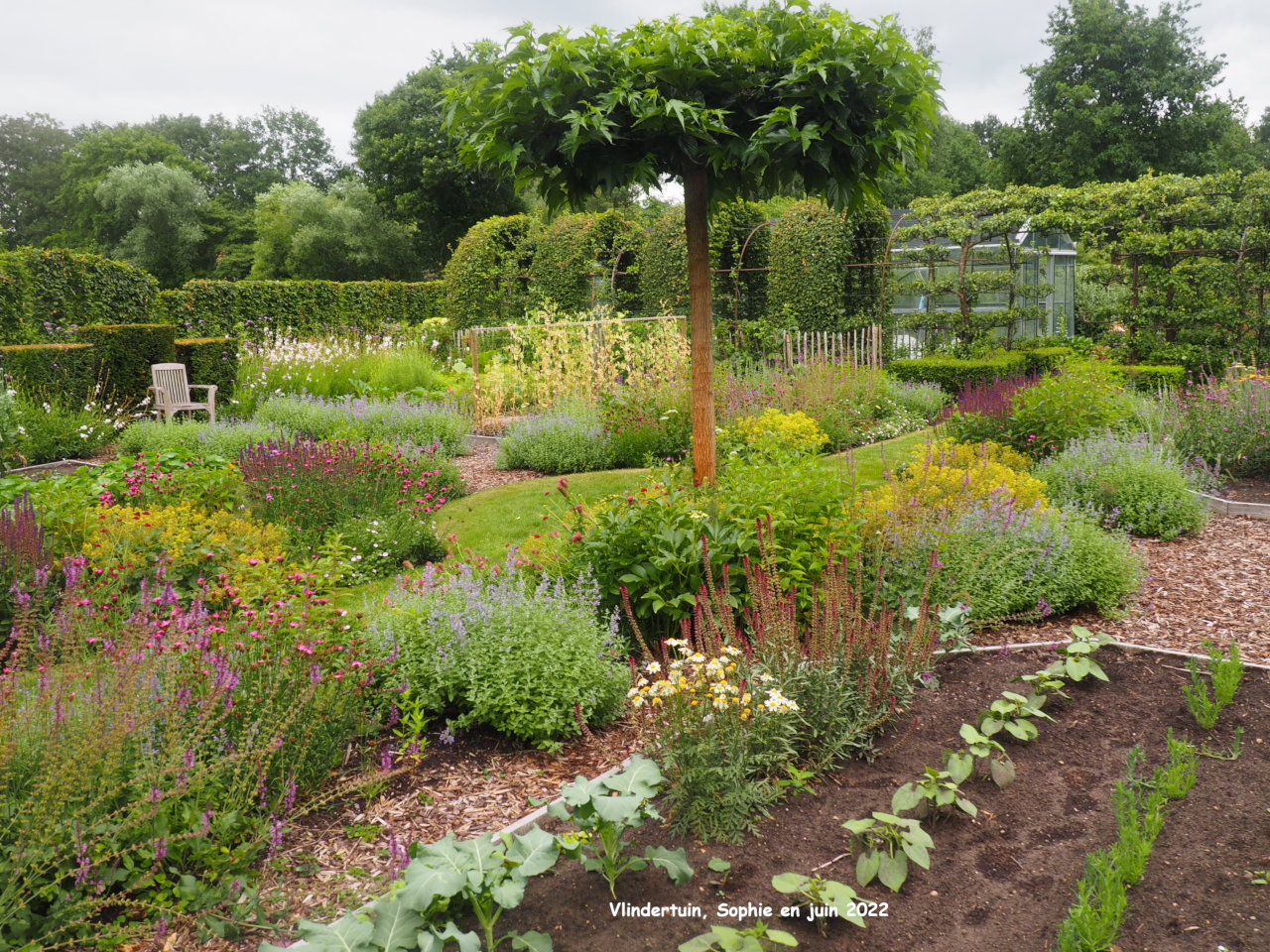 Légumes et fleurs à Vlindertuin