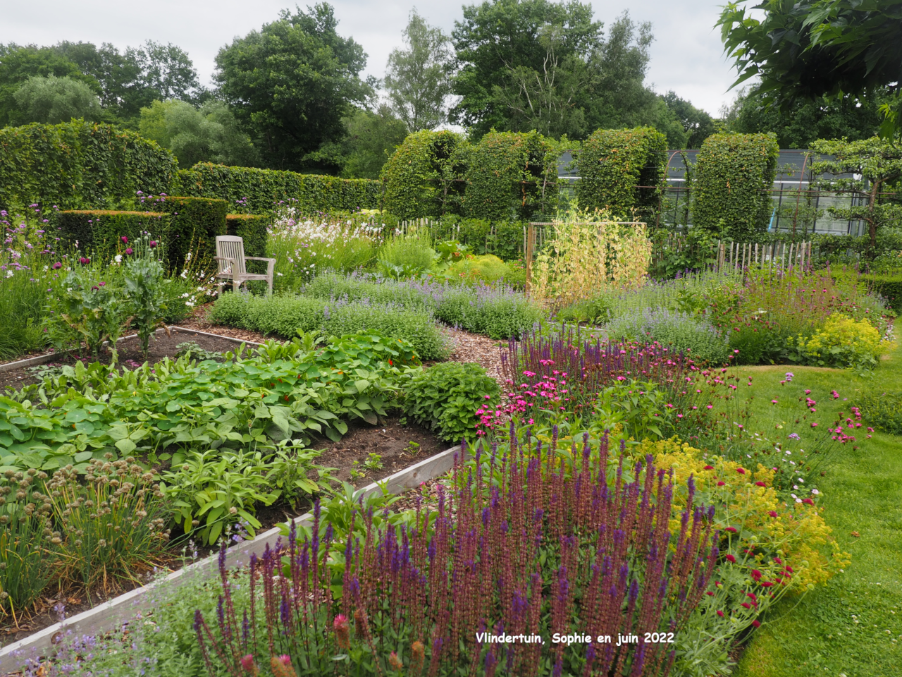 carrés de légumes à Vlindertuin
