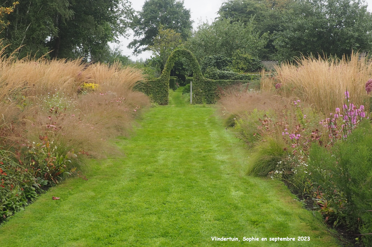 Vlindertuin: mixed-borders en septembre