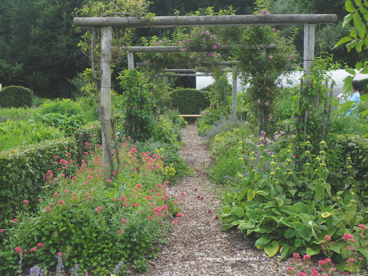 Pergola de roses à Vlindertuin