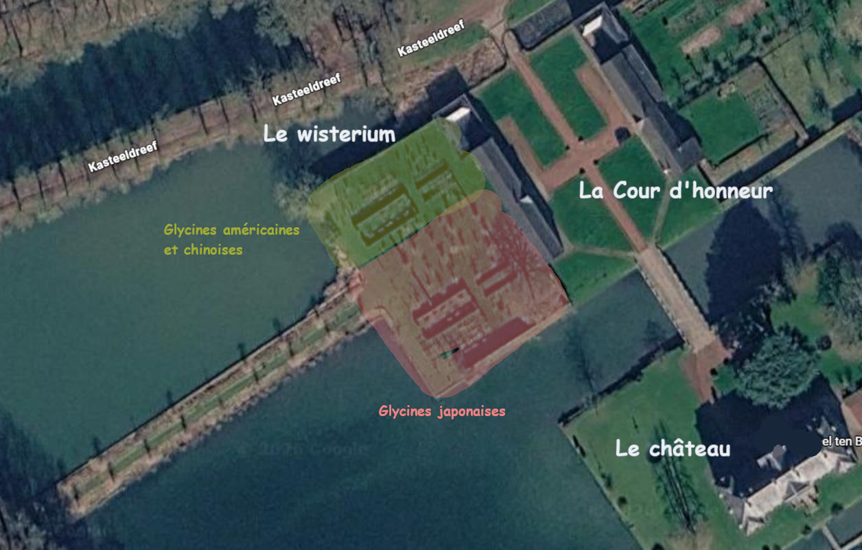 plan du Wisterium